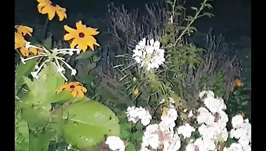 mastürbasyon açık