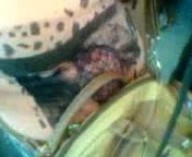 Crapula 19