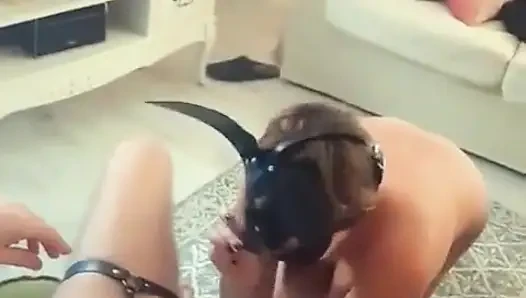 Лизать сливки из киски