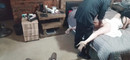 Pregled videozapisa