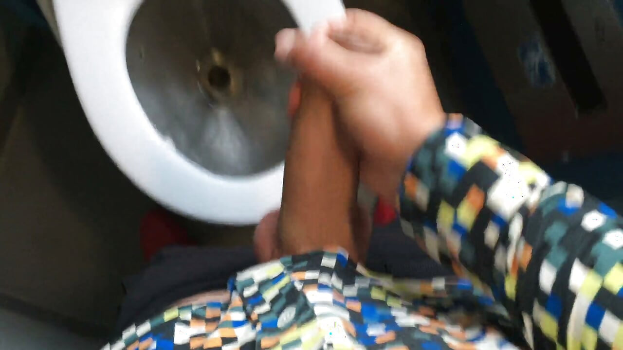 Jerk off at a Train Toilet