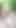 Stunning moment from "Dirty White Slut Gets Hosed Down & Uses BBC Dildo in Her Backyard"