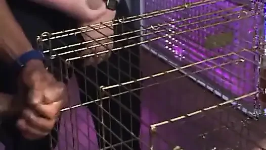 Покорная шлюшка отсасывает хуй полицейскому в клетке