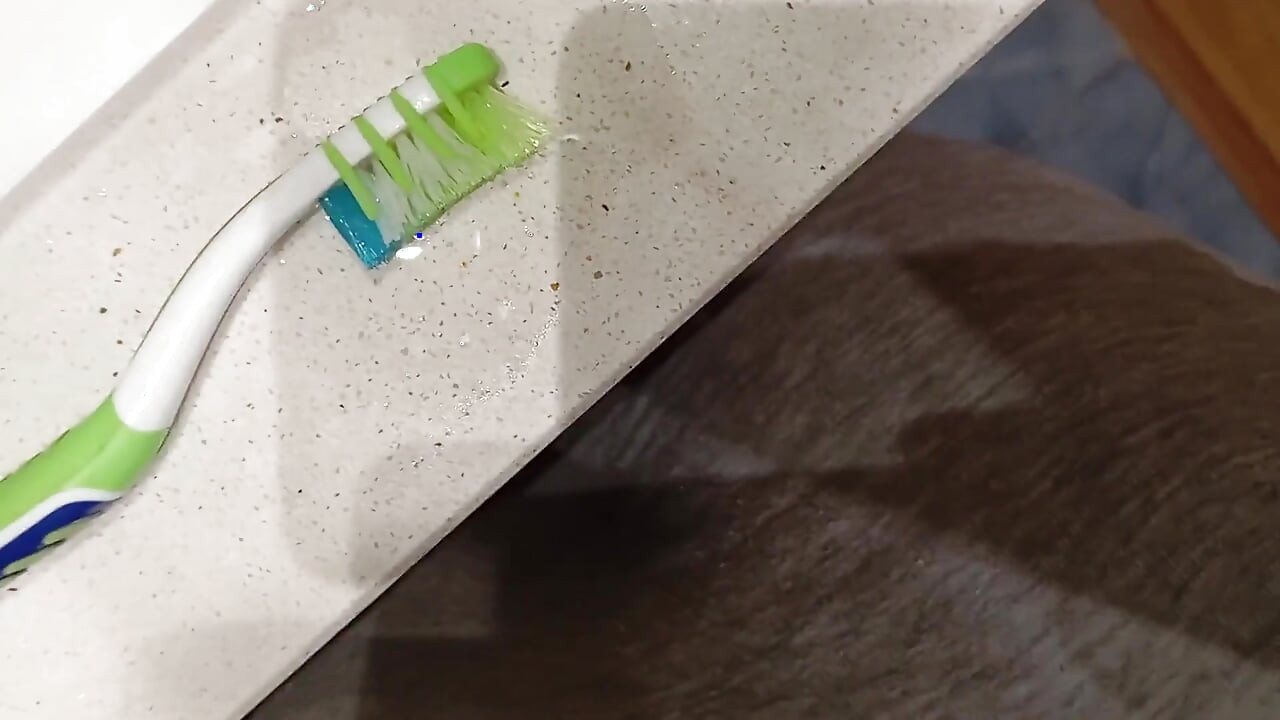 The Pig Shows You How Far the Cum in the Previous Video Splashed and His Big Cock Full of Semen