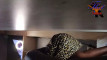 Pregled videozapisa