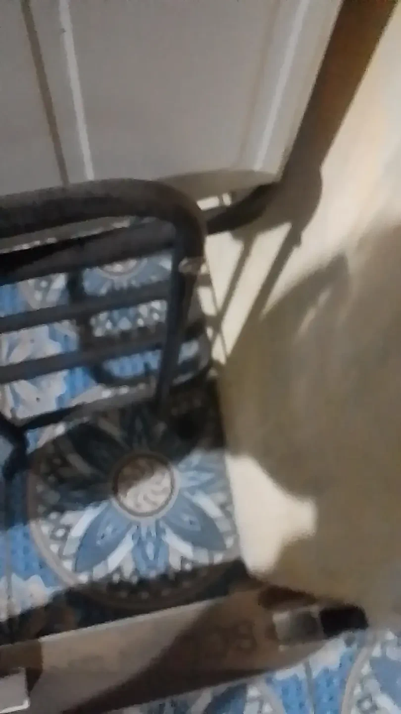 被邀请与继阿姨做爱有一个毛茸茸的阴户，舔到湿很美味