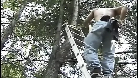 Lumberjacked: Crimes Against Nature