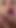Blondie swallows sperm load
