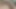 Hot Wife Gets Fucked Hard and Gets Cum in Her Ass