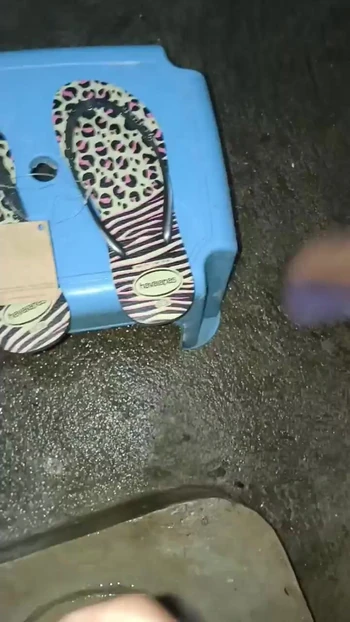 Cum In Havaianas Slim Animal Print