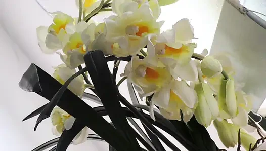 Olgun kadınlar genç erkeklerin yarakları içinde boğularak sikiliyor 2