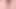Penis