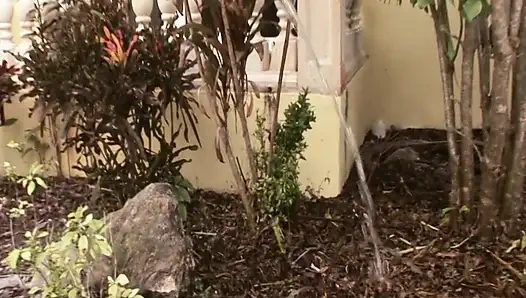 Chanel lässt den schwanz des gärtners wachsen