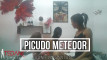 Pregled videozapisa