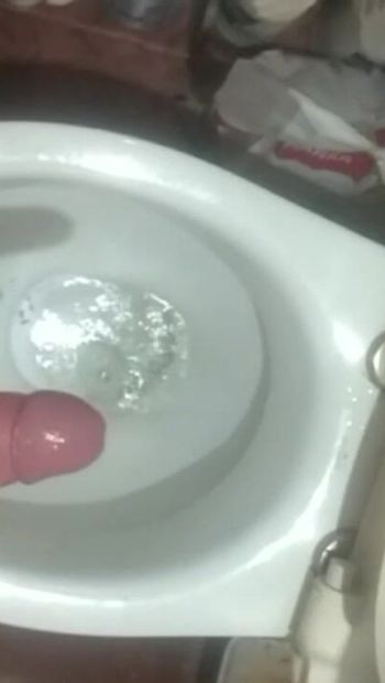 Masturbation,, Toilet