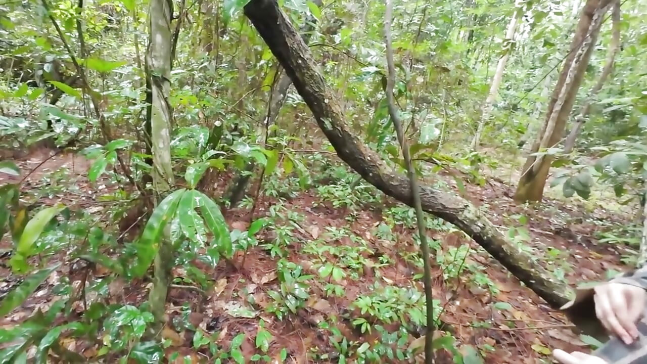 Thai Teenager Walks around Picking Mushrooms and Gets Fucked in the Pussy. Thai Audio