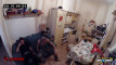 Pregled videozapisa