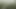 MY FIRST VID! Strong, hard streaming piss in the backyard