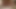 とても依存的です
