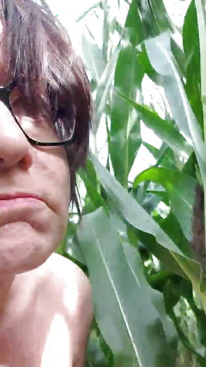 Julie bugil di ladang jagung