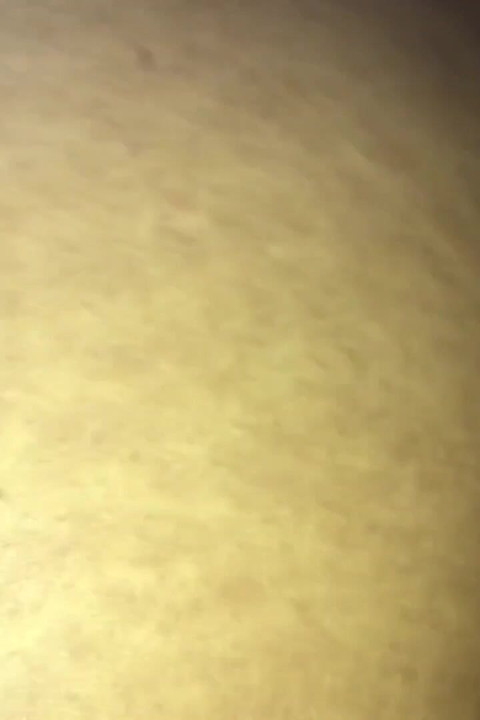 Busty Whore From Indonesia Loves to Be Doggy Style Fucked