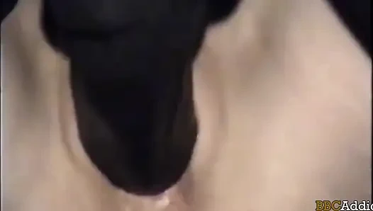 Kecanduan kontol besar pria kulit hitam - istriku suka banget sama kontol besar pria kulit hitam
