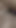 Epic moment from "Young stepsister +18 takes nude photos for her stepbrother and can't resist until he fucks her tight pussy"