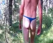 Im wald