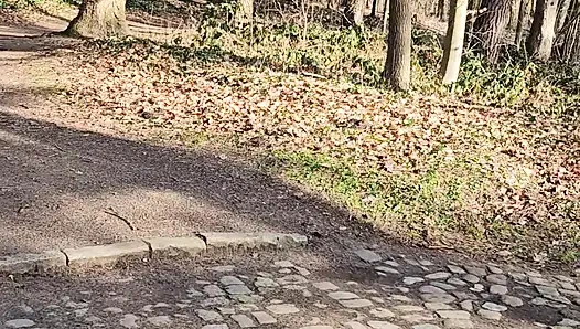 public park, dick jerked off