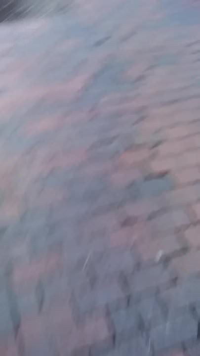 Street ass