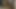 Pam yeni büyük zenci seviyor