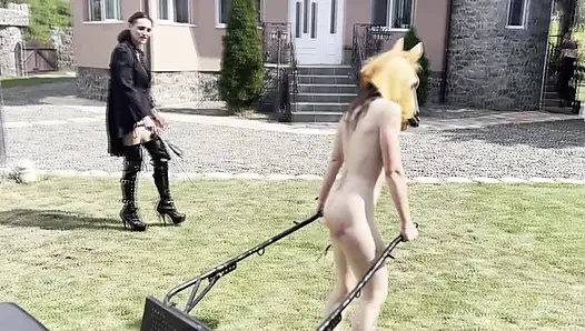 Gadis kuda poni dicambuk, diperas dan memarnya keras - pelatihan ponygirl lezdom ekstrem