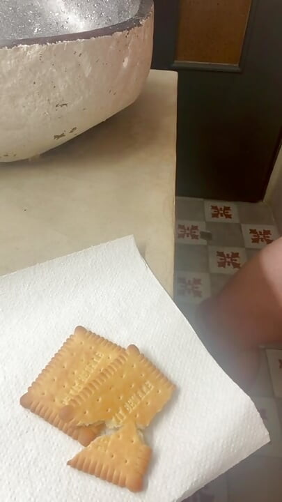 He cums on my cookies and I eat them