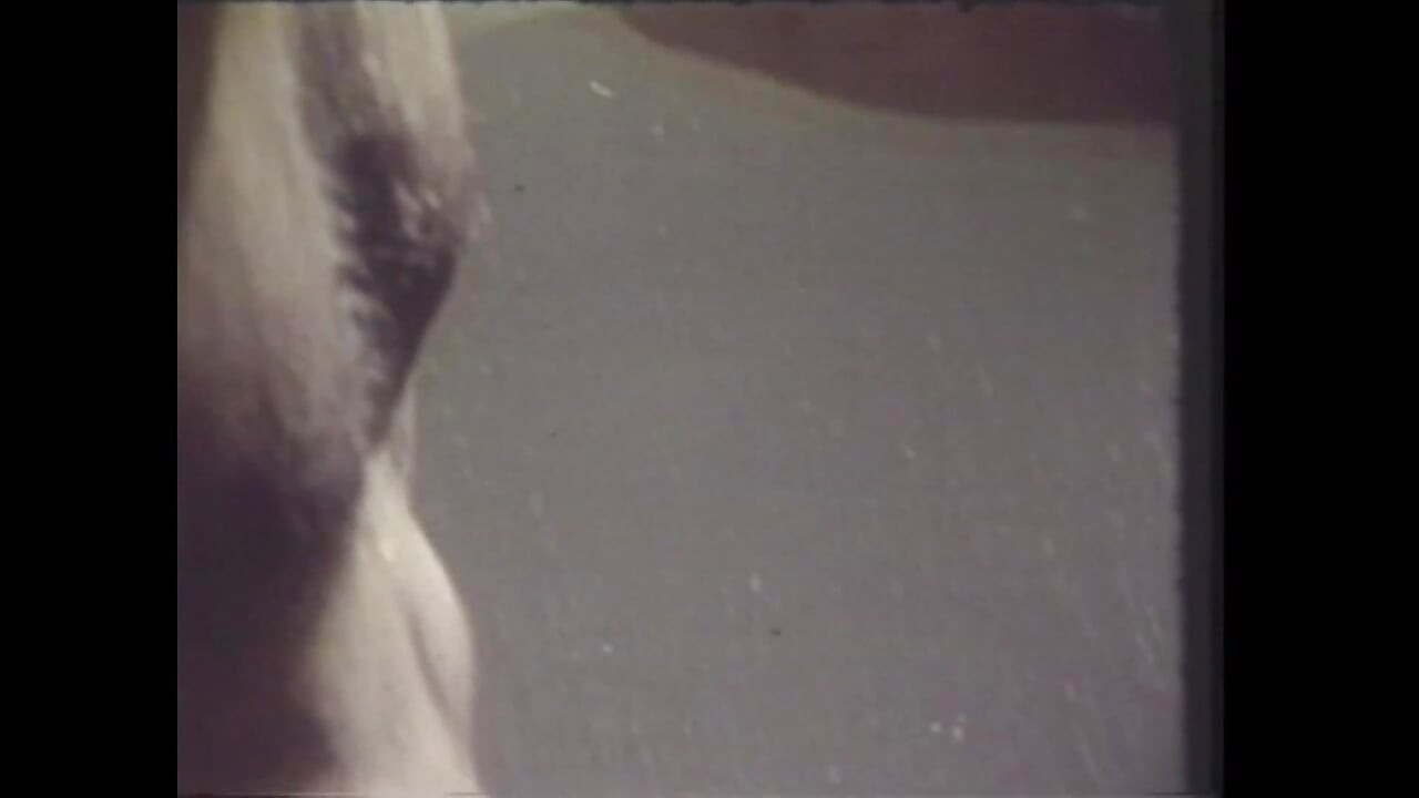 Con ngựa con chết tiệt