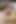 Trans Girl in Pantyhose Cums From Vibrator