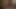Face Cam Dual View – Anal Dildo Ride