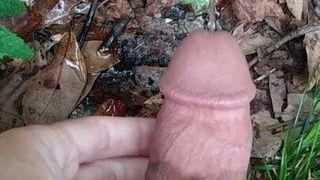 Long morning penis pee