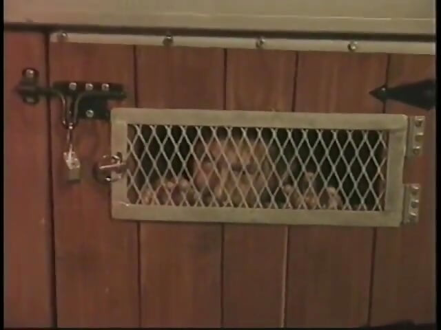 Bound man is subdued with strange penis remedy by two chicks in dungeon