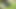 Doggy Fucked On The Grass