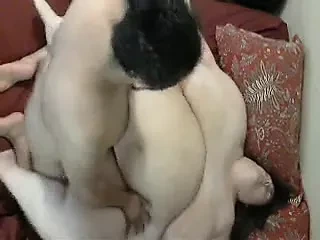 Mature BBW  Big Boobs having fun