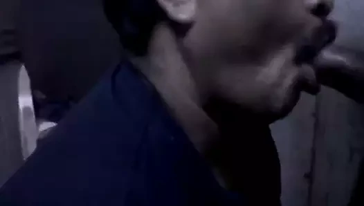 Muhafız