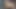Hamile Hintli orta yaşlı seksi kadın sevgilisi oral seks yapıyor ve seks olmadan yaşayamaz
