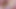 Extreme Close-Up - Eating Pussy And Asshole
