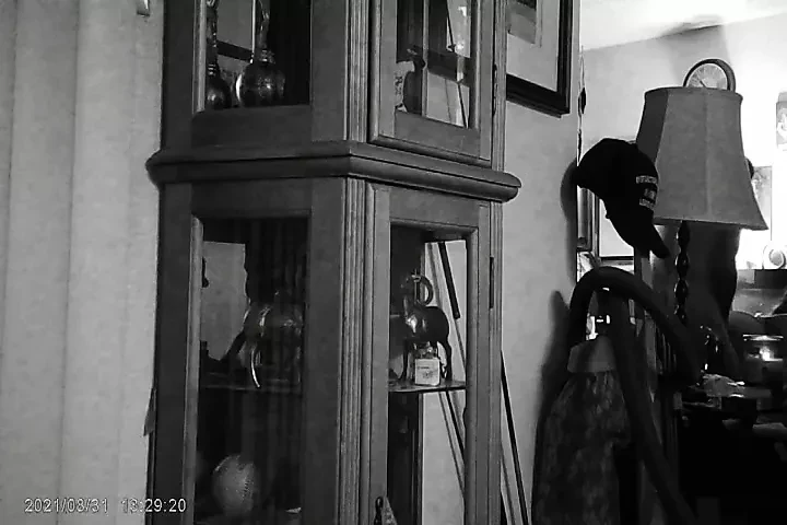 wife caught cheating