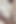 Daddy Wants Cock Sucking