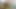 My Stepmother’s Moans in the Bathroom – a Mystery to Unravel?
