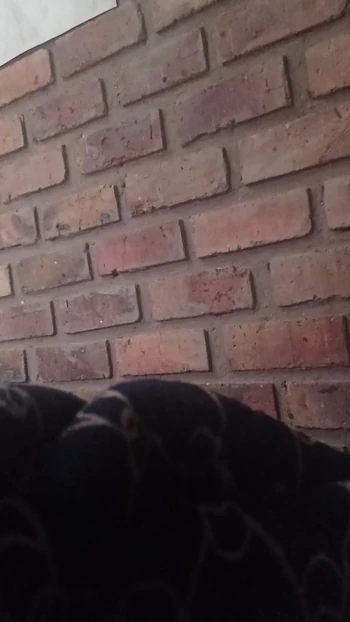 anal sex and lots of milk sex and toys