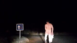 Ella desnuda en la carretera