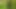 Encased latex doll in the woods preview