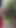 Thrilling moment from "Desi College girl coming forest jangle and fucking a boy young girl ass - Desi bhabhi in forest.."
